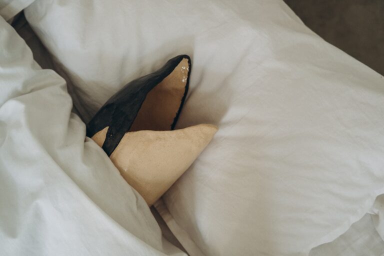 Discover the Ultimate Comfort with Cloudrest Travel Cushions
